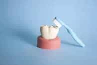 11月8日はいい歯の日です！