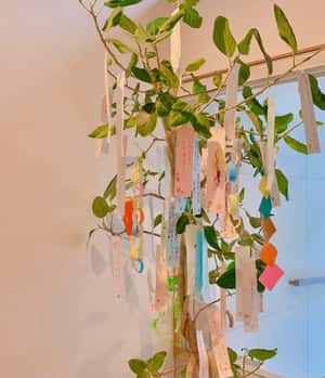 御所南ともこ歯科の七夕