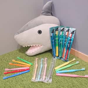 11月のキャンペーン