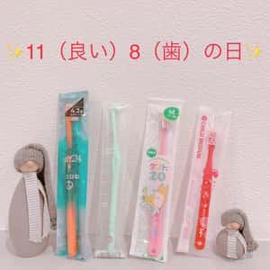 11月のキャンペーン