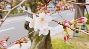 口のケアをして新生活の準備を