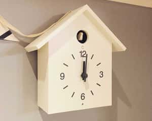 開院から2週間が経ちました！