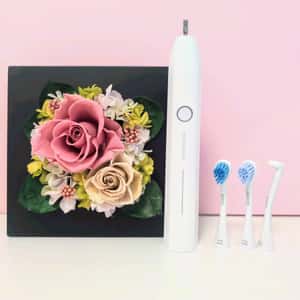 5月のキャンペーン