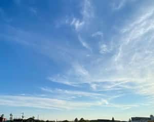 お盆休みのお知らせ