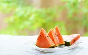 お子さま見守りサービス