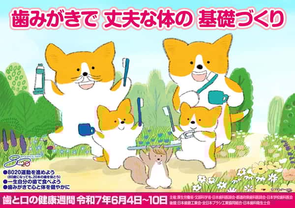 6月4日〜10日は歯と口の健康週間です