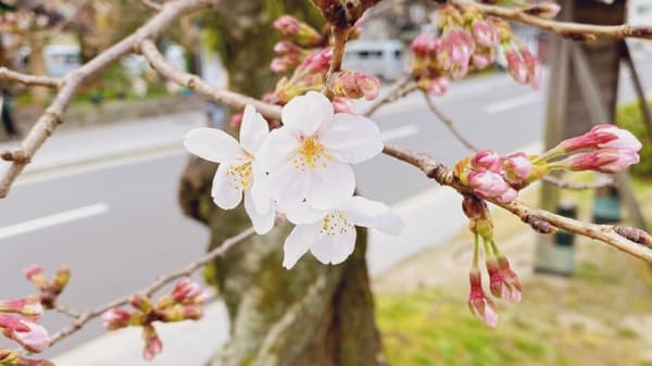 口のケアをして新生活の準備を