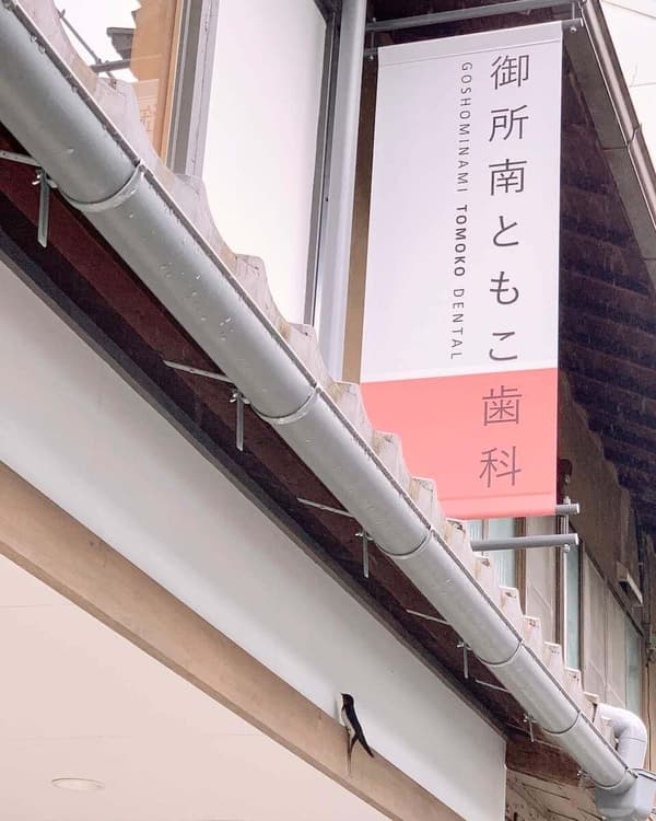 つばめ発見！